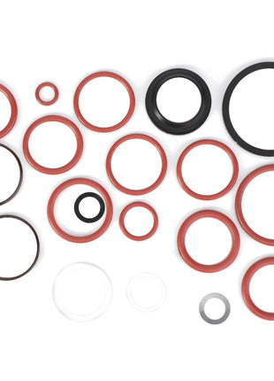 AGCO's Seal Kit, Directional Valve (F117961021010), featuring precisely engineered rubber and metal O-rings in various sizes and colors, is arranged on a white background.