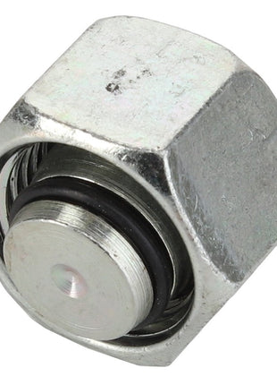 Close-up view of the AGCO Cap - Acp0326810 featuring an integrated spring-loaded plunger. Product description is currently unavailable.