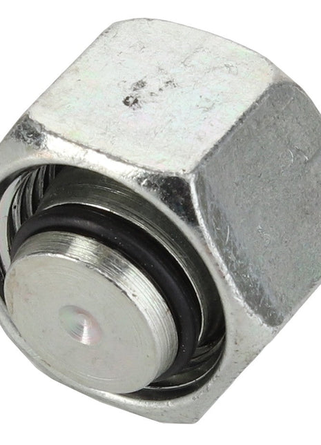 Close-up view of the AGCO Cap - Acp0326810 featuring an integrated spring-loaded plunger. Product description is currently unavailable.