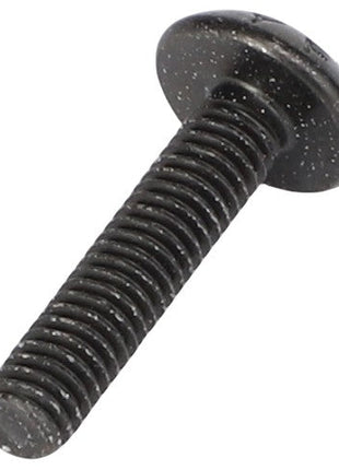 Close-up of a black, round head AGCO TORX HEAD BOLT - CH9X-1046 against a white background.