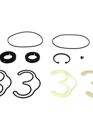 A collection of variously shaped and sized rubber seals and o-rings from the AGCO | SEAL KIT - CH210-0179 by AGCO is arranged on a white background, currently with no product description information available.