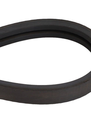 AGCO | BELT - D41990049