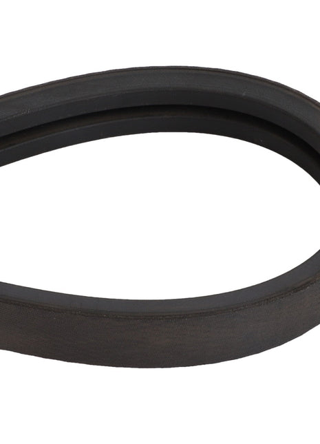 AGCO | BELT - D41990049