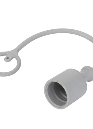 AGCO | Plug - Acp0671380 - Farming Parts