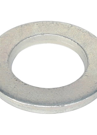 AGCO | FLAT WASHER - AL5013104