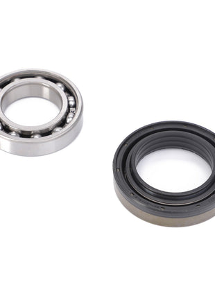 An image depicting the AGCO Cross and Bearing Kit (Acp0316290), featuring a metal bearing and a black rubber seal, arranged side by side on a white background.