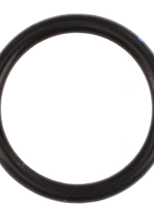 A black rubber O-ring, identified as the AGCO | O-RING - AG711882, is displayed on a white background. No current product description information is available.