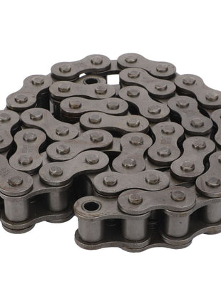 AGCO | Roller Chain, Lely Storm Forager - Lm98043748 - Massey Tractor Parts