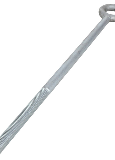 The AGCO EYE BOLT - AG522877 features a metallic construction with a threaded shaft and a robust, circular looped head.