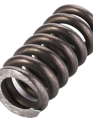 Close-up image of the AGCO Compression Spring - F140100090100 with one flat end. No current product description available.