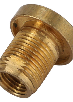 A close-up of an AGCO BOLT - CH214-1085 threaded pipe fitting with a hexagonal head, exhibiting wear and tear on the threads. No current product description information available for this item.