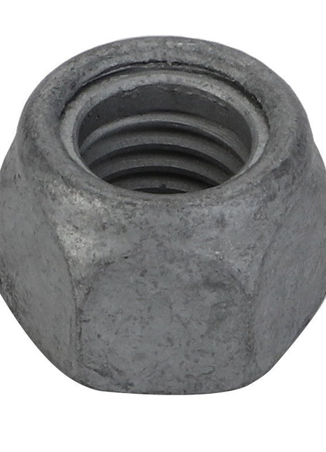 A close-up of the AGCO Hex Top Lock Nut - Acx2313480, showcasing its internal threading. No current product description information is available.