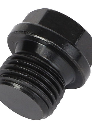 Close-up of an AGCO Plug - V836119079, a black metal hex plug with a threaded end.