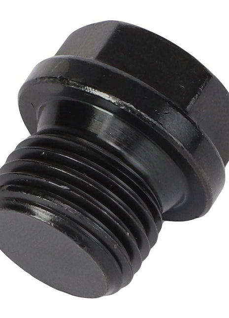 Close-up of an AGCO Plug - V836119079, a black metal hex plug with a threaded end.