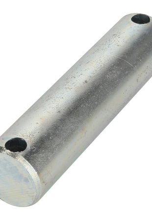 AGCO | Pin - Acp0149380 - Farming Parts