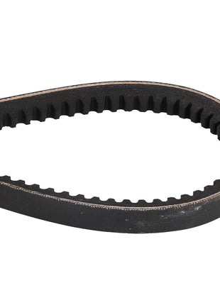 A close-up view of the AGCO V Belt - D41990014, a black rubber belt with internal teeth designed for use in machinery or automotive applications. This product is manufactured by AGCO.