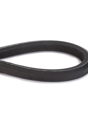 AGCO | BELT - D41978600