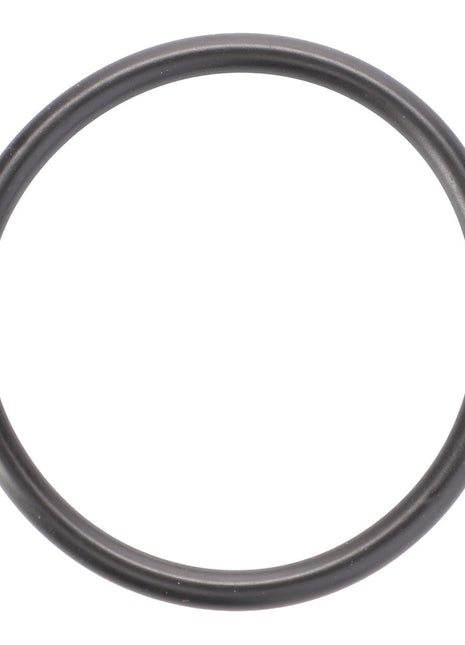 The AGCO Seal, Front Axle Pivot Bearing - F138314020470 is a black rubber O-ring crafted from high-quality materials. Displayed against a white background, the circular ring is unmarked and meets the high-performance demands expected of genuine seals.