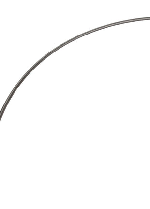 A single AGCO | Wire - La300132831, gracefully isolated on a crisp white background.