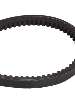 A black, toothed rubber timing belt is shown against a white background, identified as the AGCO FAN BELT - D41904300 by the brand AGCO, with no current product description available.