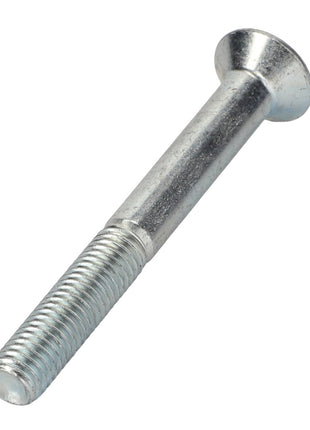 A close-up view of the AGCO Hex Cap Screw (Acp0669720) featuring a metal construction with a flat, slotted head and a threaded shaft.