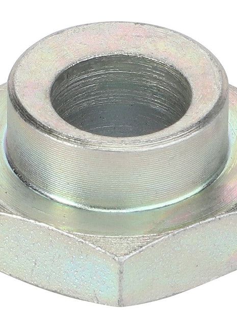 AGCO | Excentric Piece - La300134396 - Farming Parts