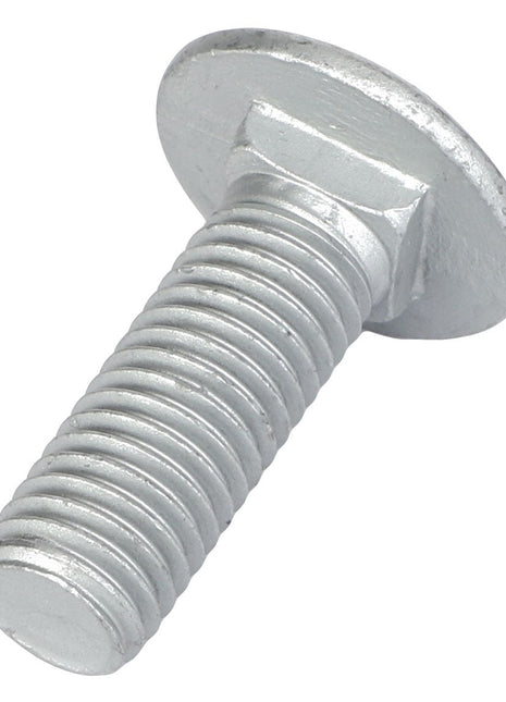 Close-up image of the AGCO Round Head Square Neck Carriage Bolt (Acw0998670), featuring a metallic bolt with a rounded head and threaded shaft.