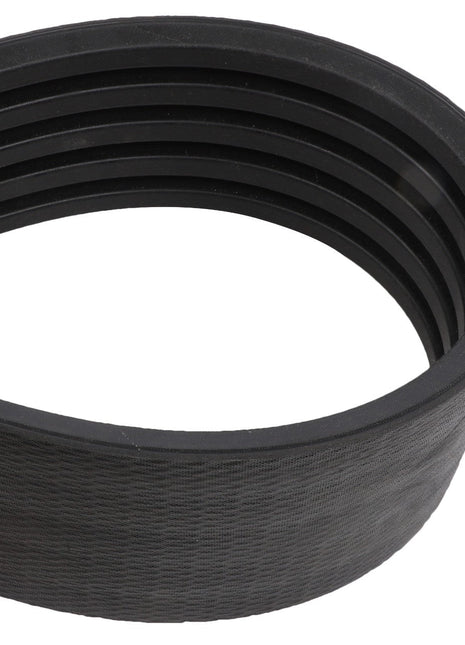 Close-up of the AGCO | BELT - D41979900, a new black ribbed serpentine belt commonly used in automotive engines. The belt, branded by AGCO, is neatly coiled in a loop. No current product description information is available.