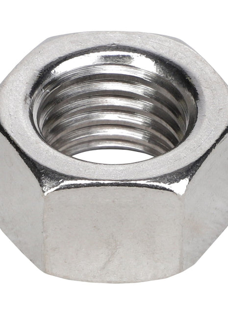 A metallic hex nut, AGCO | NUT - AG706985 by AGCO, with an internal threaded hole shown against a white background. No current product description information is available for this item.