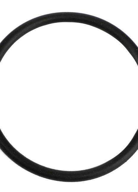 A circular black rubber O-ring, AGCO | O-Ring - Acp0025640 from the AGCO brand, is displayed against a white background. No Current Product Description Available.