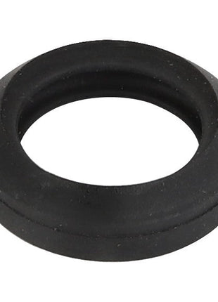 AGCO | CLAMP - D45010107