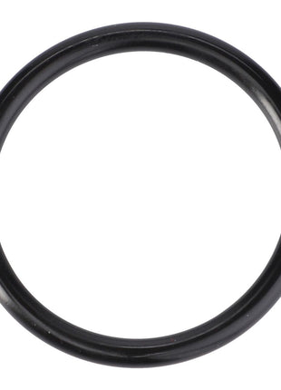 AGCO | O-Ring, Ø 32,92 X 3,53 Mm - X548892900000 - Massey Tractor Parts