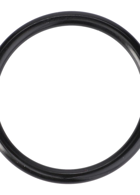 AGCO | O-Ring, Ø 32,92 X 3,53 Mm - X548892900000 - Massey Tractor Parts