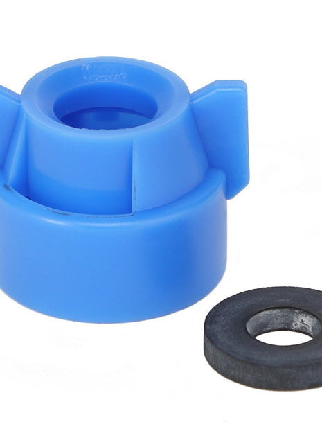 AGCO | Quick TeeJet Cap, Blue, Universal Fit - ACP0484680