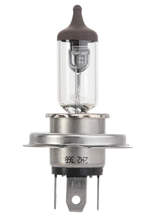 Introducing the AGCO | Bulb - Acp0355690: a halogen headlight bulb featuring a clear glass casing, metallic base, and two prongs at the bottom.