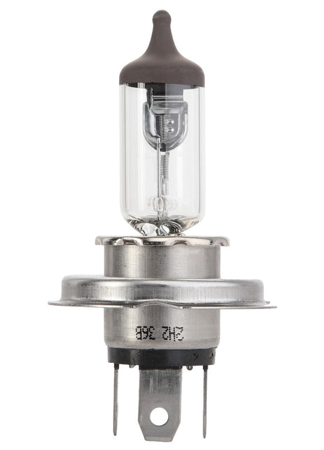 Introducing the AGCO | Bulb - Acp0355690: a halogen headlight bulb featuring a clear glass casing, metallic base, and two prongs at the bottom.