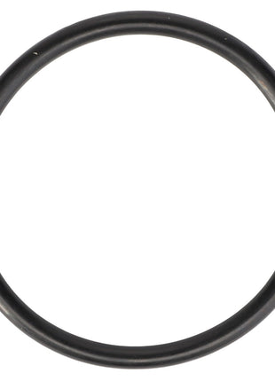 An AGCO O-Ring - 70924193, a circular black rubber component commonly found in Fendt IDEAL models and Massey Ferguson models, is depicted against a white background.