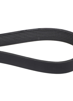 A close-up image of the AGCO | Belt - 4280313M1 showcases its smooth outer surface and ribbed inner side, essential for driving multiple peripheral devices in automotive engines.