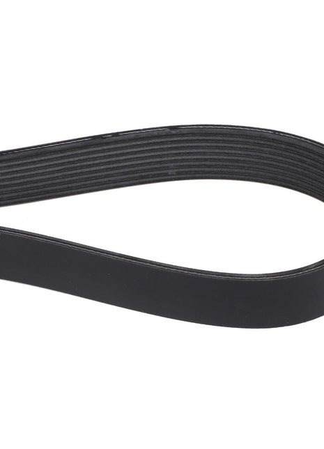 A close-up image of the AGCO | Belt - 4280313M1 showcases its smooth outer surface and ribbed inner side, essential for driving multiple peripheral devices in automotive engines.