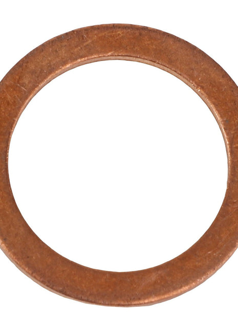 AGCO | WASHER - AL5013612