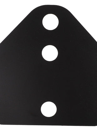 AGCO | Shim - 4389019M1 - Farming Parts