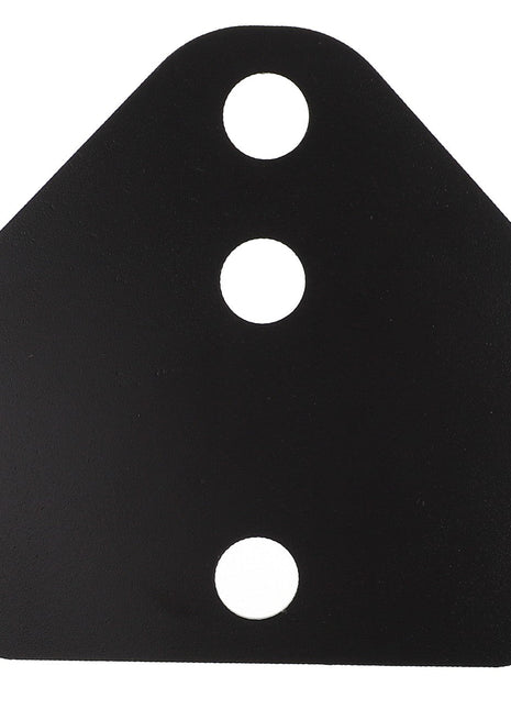 AGCO | Shim - 4389019M1 - Farming Parts