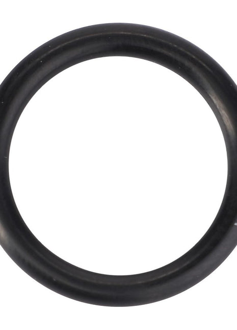AGCO | O-Ring, Ø 18,80 X 3,00 Mm - 832276M1 - Massey Tractor Parts