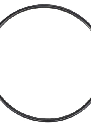 The image shows an AGCO O-Ring - 70923818, a black circular gasket used for sealing, compatible with Massey Ferguson Models.