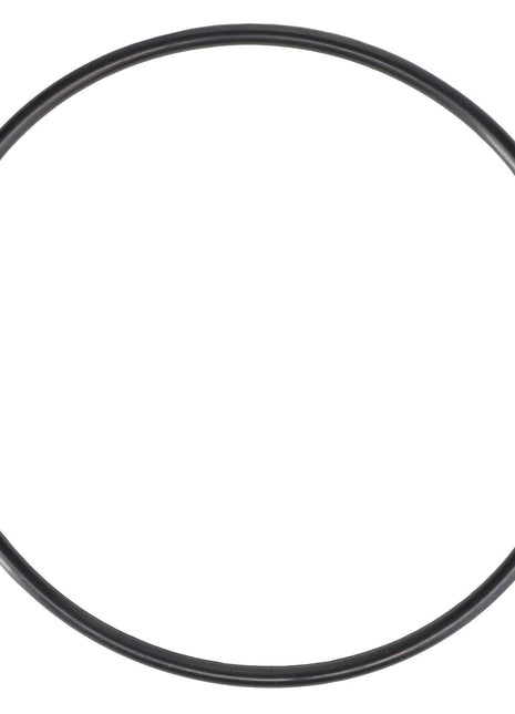 The image shows an AGCO O-Ring - 70923818, a black circular gasket used for sealing, compatible with Massey Ferguson Models.