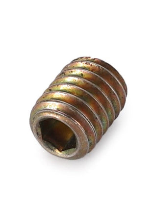 A cylindrical metallic set screw with a cup point socket head and spiral grooves, known as the AGCO | Cup Point Socket Head Set Screw - 3009351X1, by AGCO.