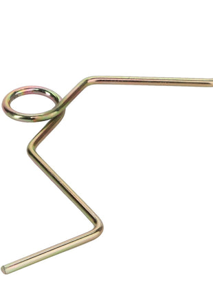 A specialized tool or hardware component, the AGCO | SPRING - D28230841, features a metal rod bent into a zigzag pattern with a circular loop at one end.