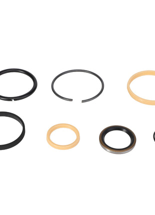 AGCO | Seal Kit - 110022