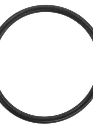 A circular black rubber O-ring by AGCO, product name: AGCO | O-RING - F743300020320; no current product description information is available.