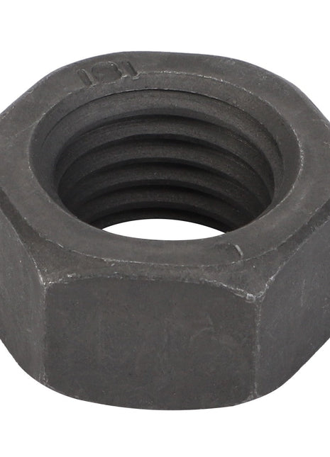 AGCO | Nut Metric - 3009909X1 - Farming Parts